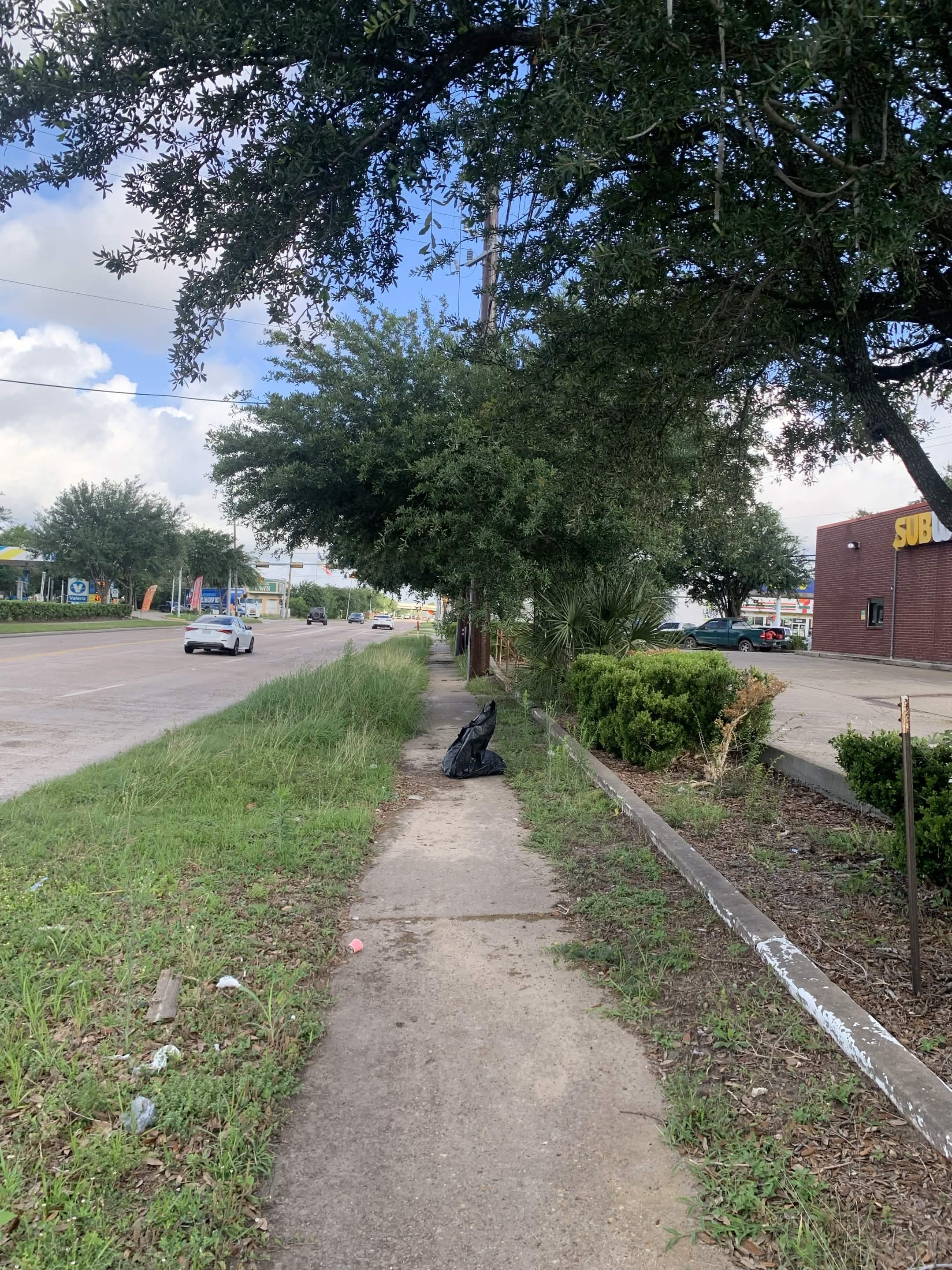 Cleanup work in progress along a sidewalk and landscape bed